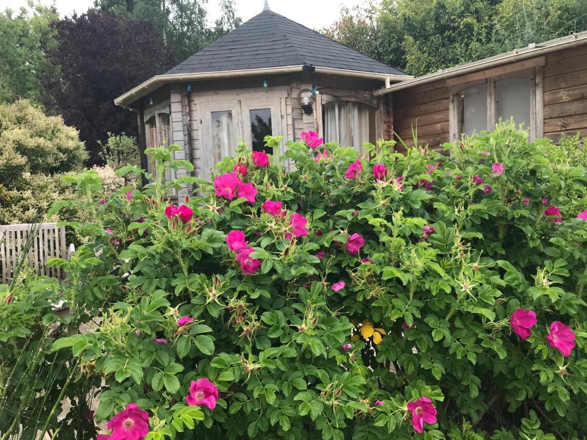 Bed and Breakfast Le Jardin Sauvage Maintenay Exteriér fotografie