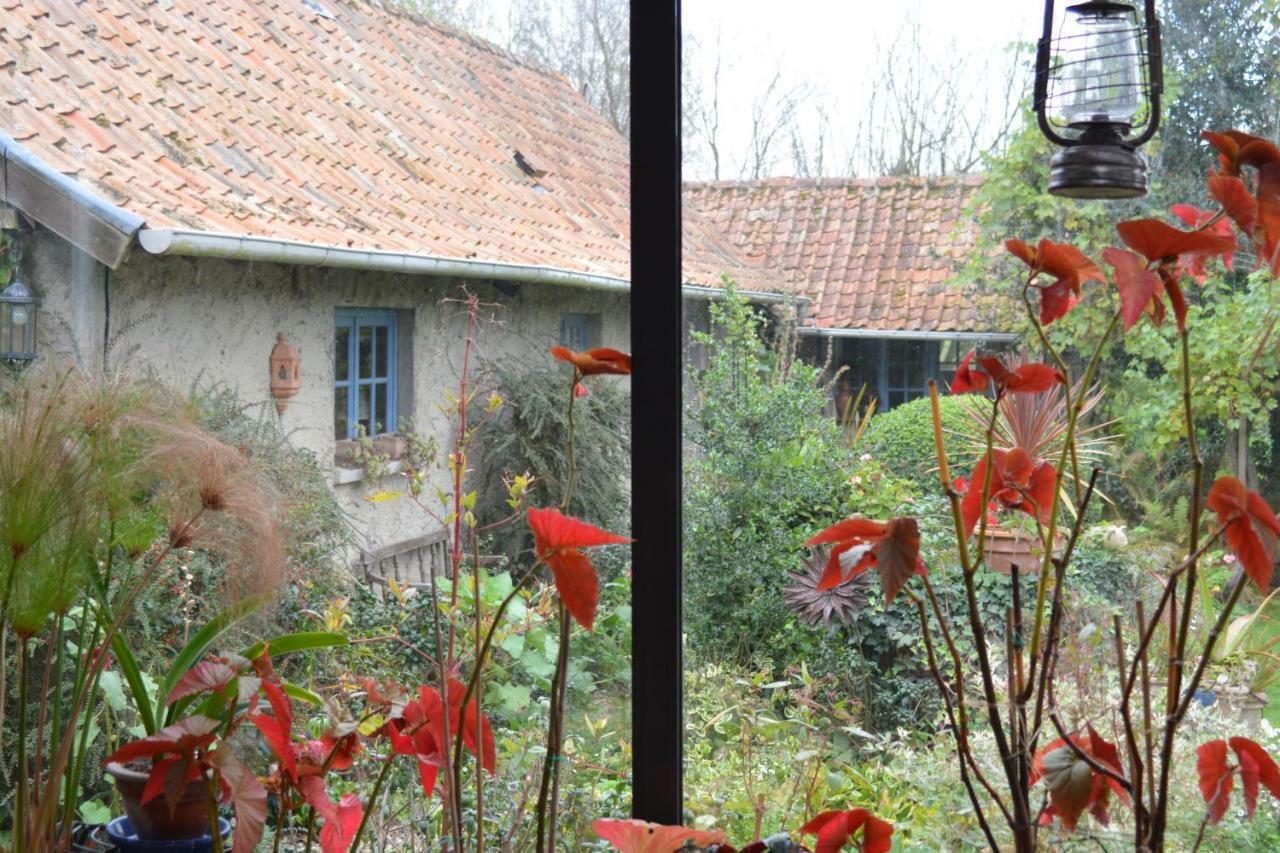 Bed and Breakfast Le Jardin Sauvage Maintenay Exteriér fotografie