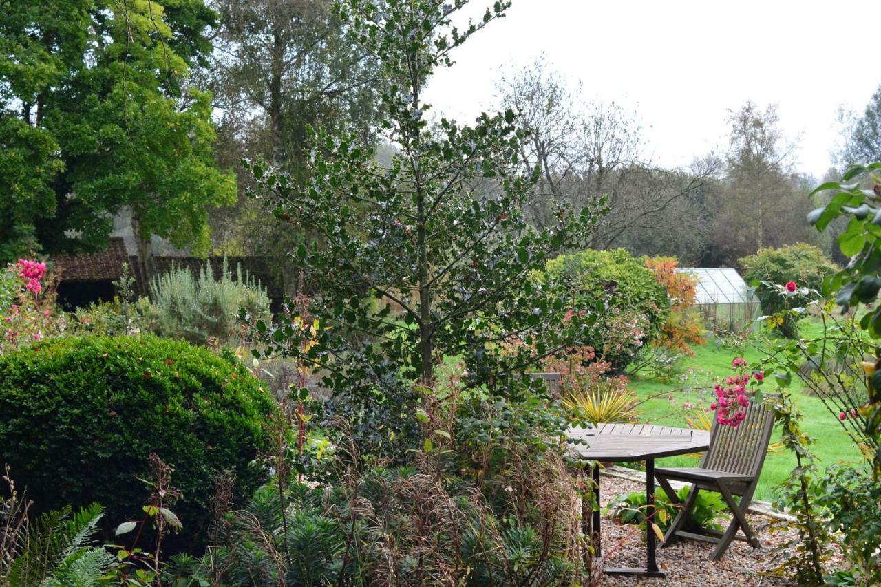 Bed and Breakfast Le Jardin Sauvage Maintenay Exteriér fotografie