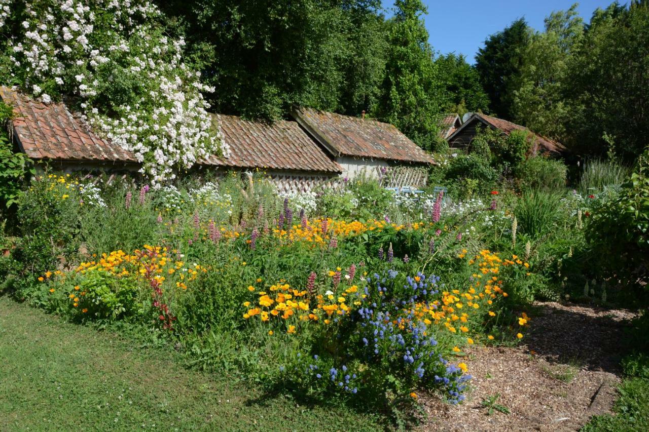 Bed and Breakfast Le Jardin Sauvage Maintenay Exteriér fotografie