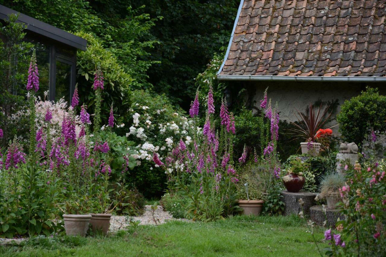 Bed and Breakfast Le Jardin Sauvage Maintenay Exteriér fotografie